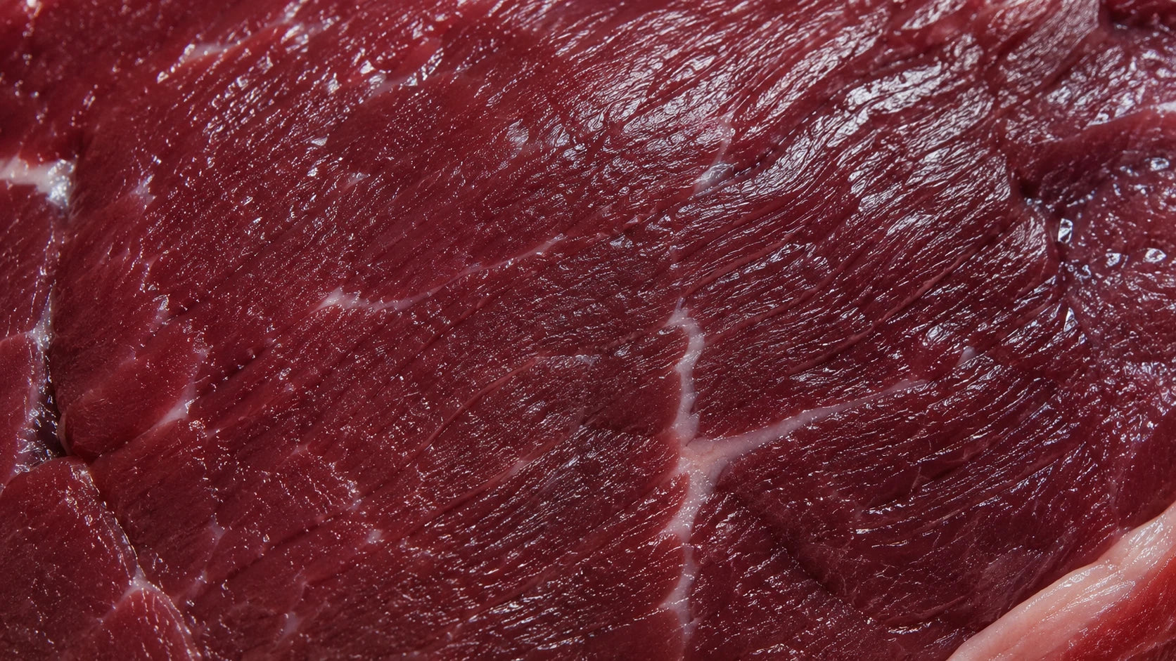 Beef-Raw-Dog-Food THE RAW PACK LTD