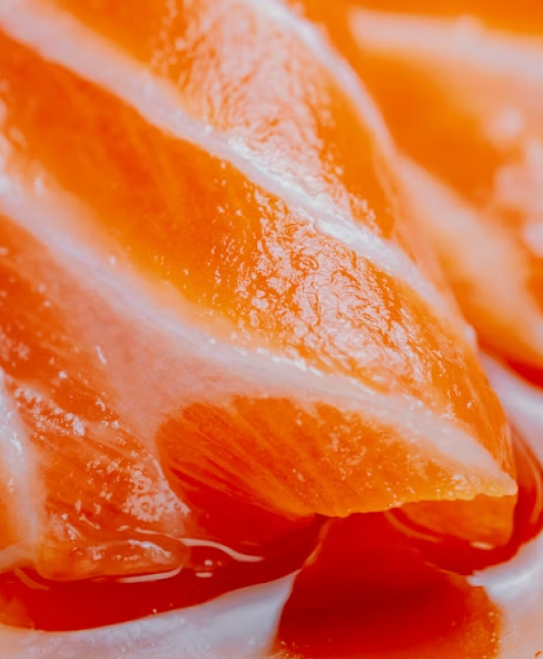 Salmon