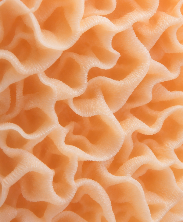 Tripe