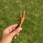 Woman holding a dried chicken foot dog treat, against a grassy background.