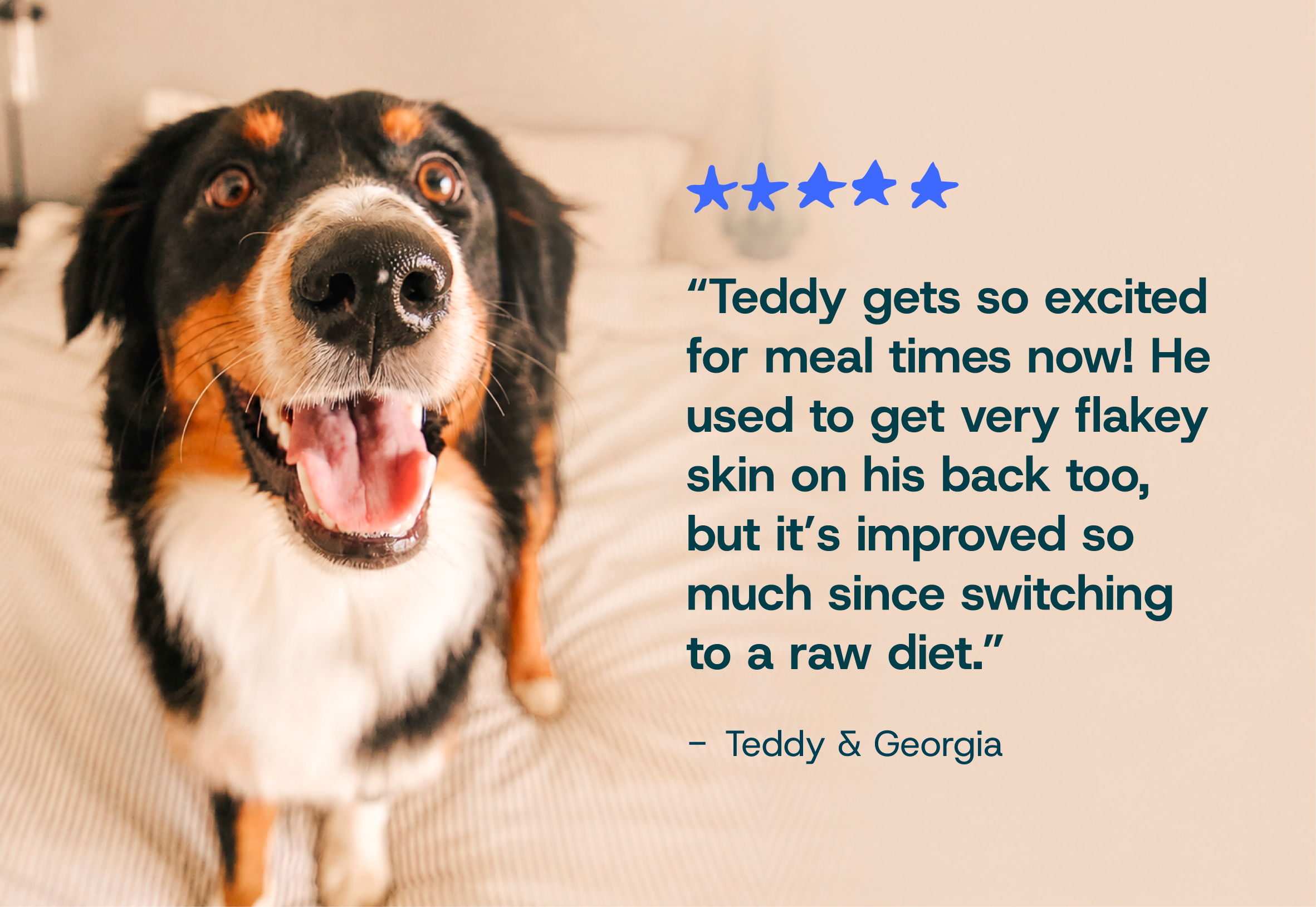 Happy dog with a five-star rating and testimonial about improving skin health on a raw diet