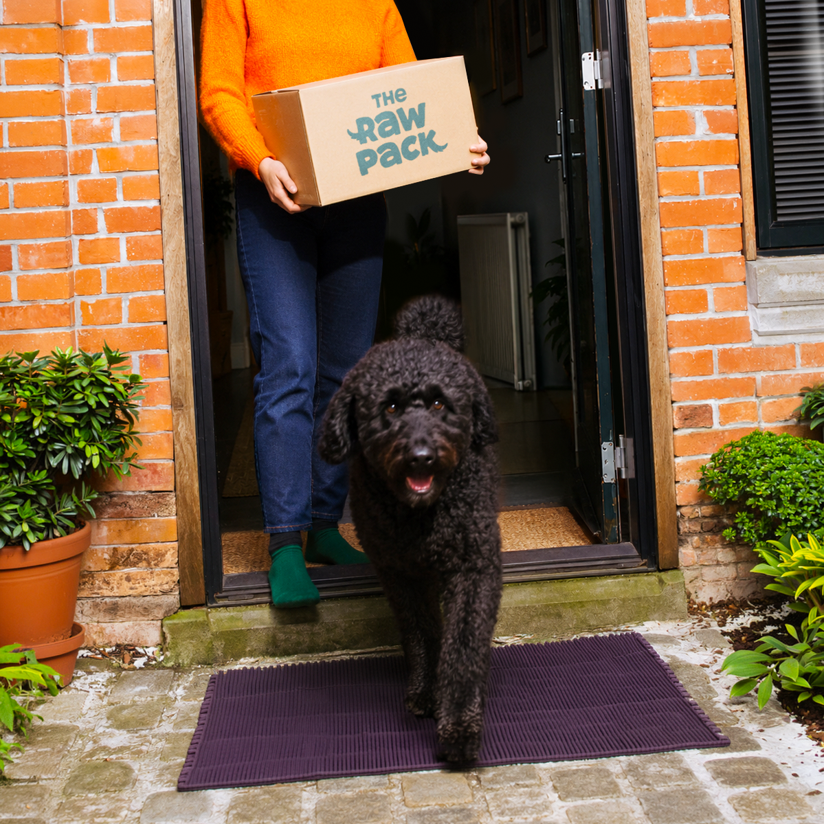 Person holding a delivery box labeled 'The Raw Pack' with a black dog outside a brick house.