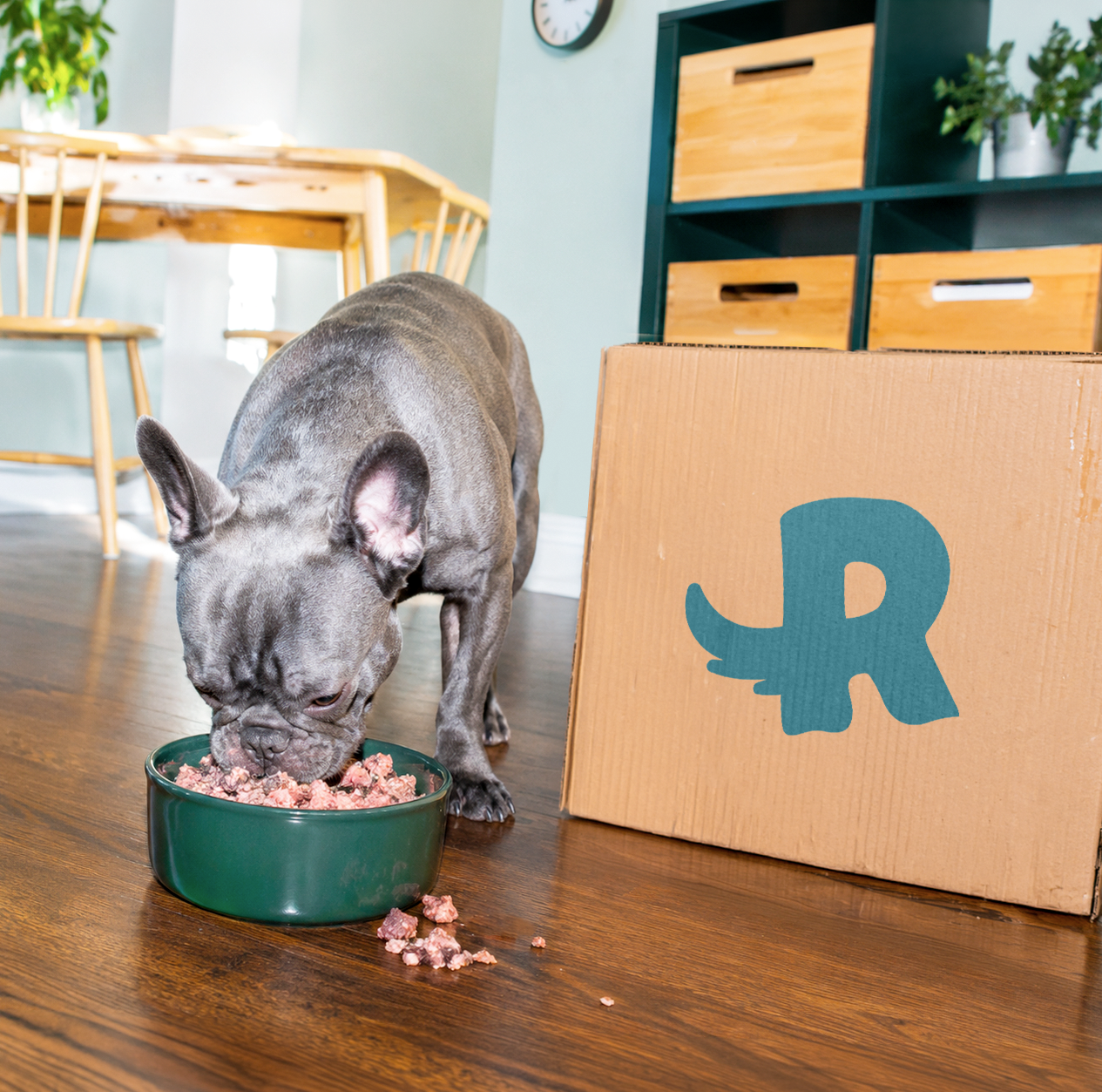 Dog eating from a bowl in a kitchen on a wooden floor next to a Rack Pack delivery box