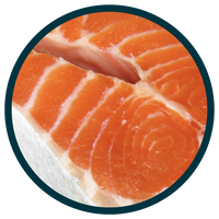 Salmon