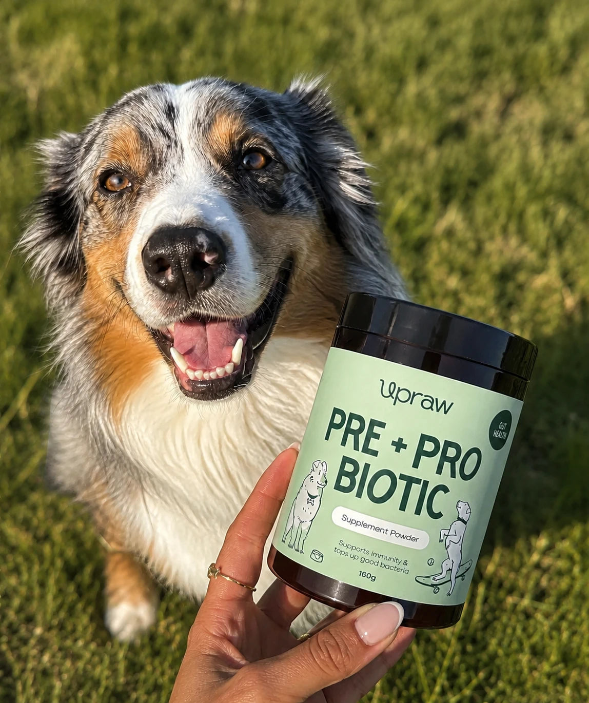 Upraw Pre + Pro Biotic Powder Upraw