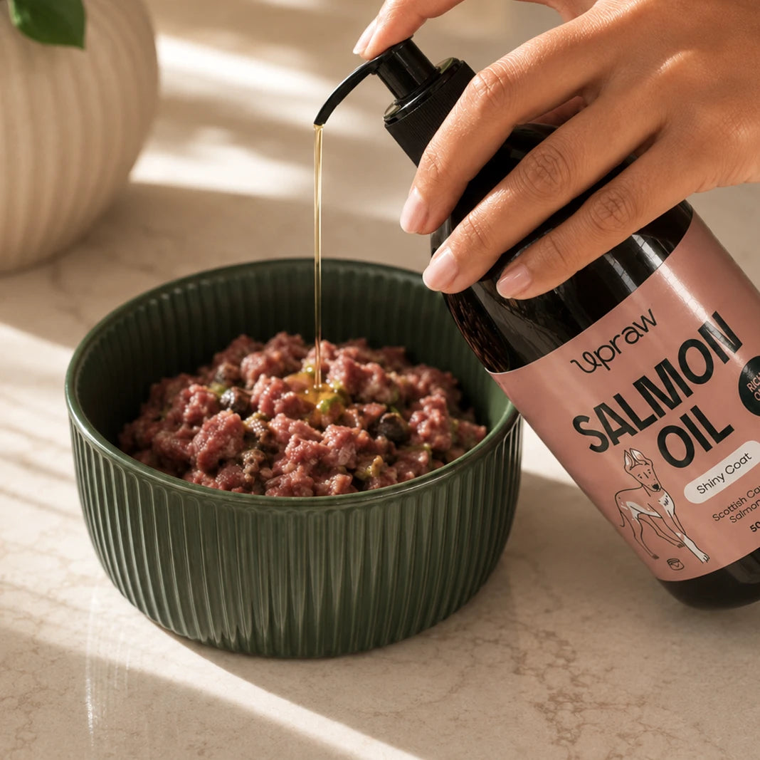 Upraw Salmon Oil Upraw
