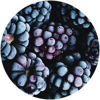 Blackberries