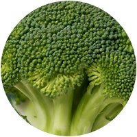 Broccoli