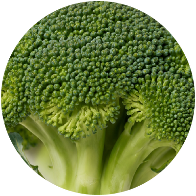 Broccoli