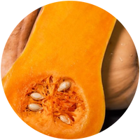 Butternut Squash