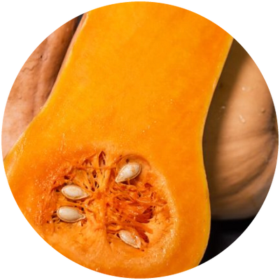 Butternut Squash