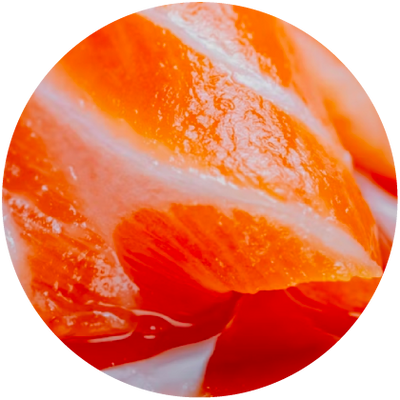 Salmon