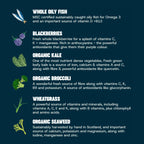 Informational graphic listing ingredients in Naturaw Forage Raw dog food recipes