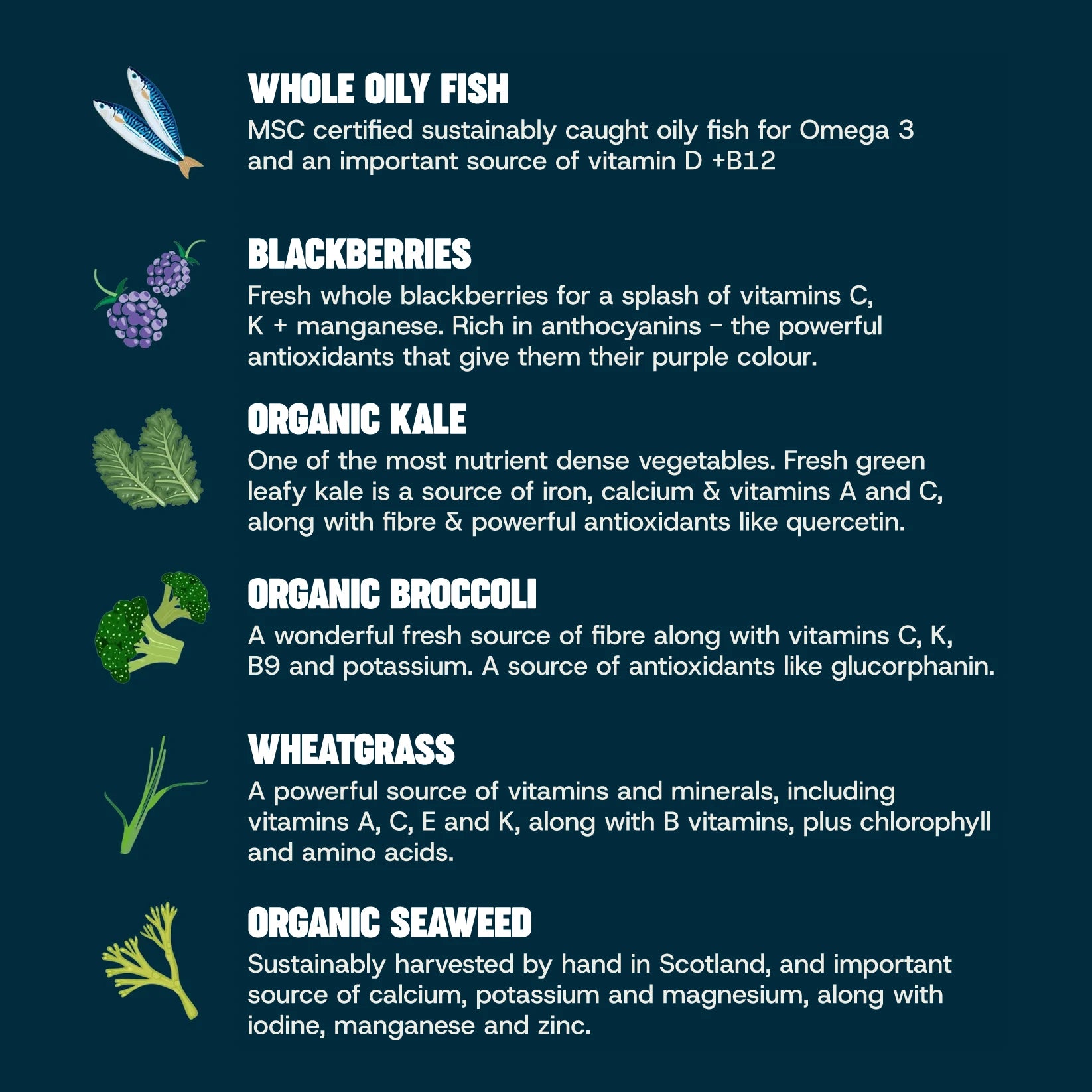 Informational graphic listing ingredients in Naturaw Forage Raw dog food recipes