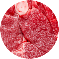 Lamb