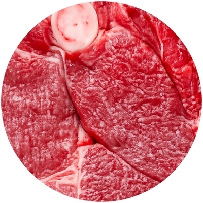 Lamb