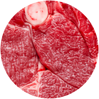 Lamb