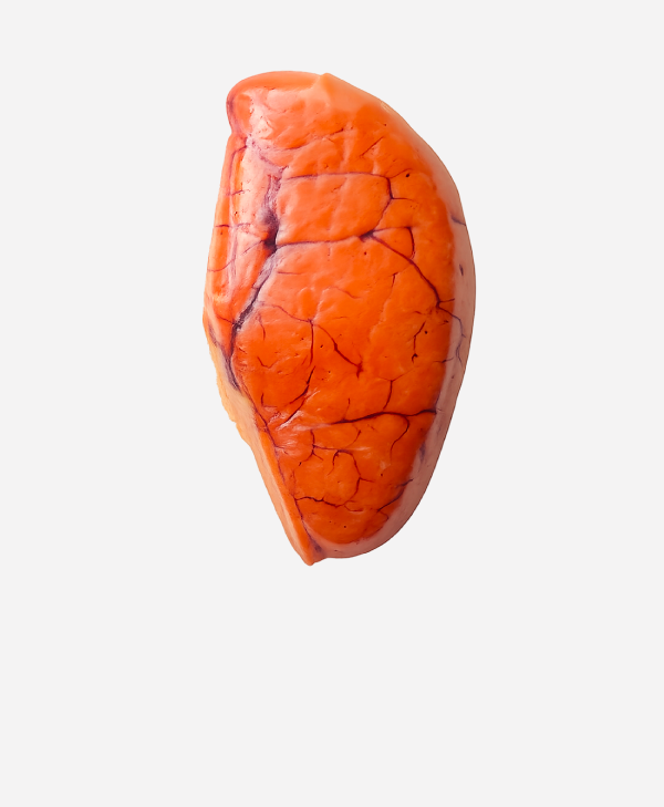 Offal