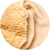 Tripe