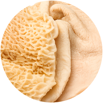 Tripe