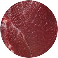 Venison
