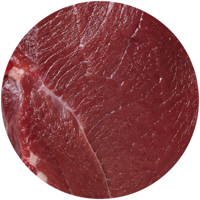 Venison